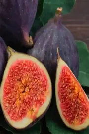 Is anjeer a non-vegetarian fruit? truth about figs10