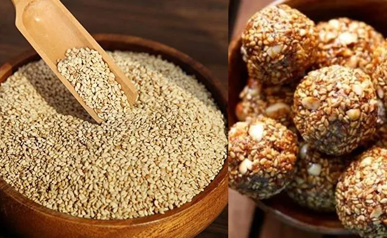 winter diet include  these sesame recipes amazing health benefits