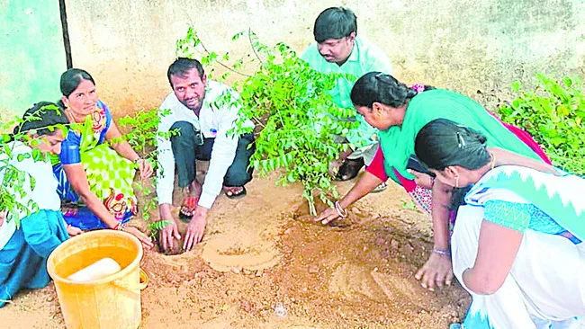 ప్రతీ పాఠశాలలో ‘కరివేపాకు’ మొక్కలు