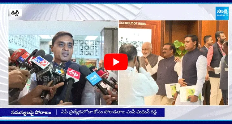 పార్లమెంట్ లో మా టార్గెట్ ఒక్కటే - ఎంపీ మిథున్ రెడ్డి