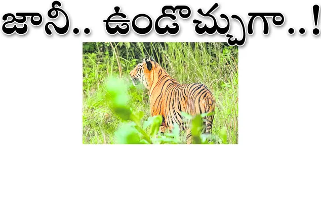 నిర్మ