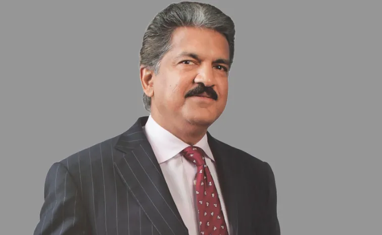 Anand Mahindra Perfect Recreation On Sunday Tweet