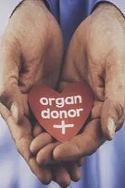 Organ Donation Information Process Types6