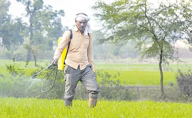 Paraquat deaths rise in Telangana