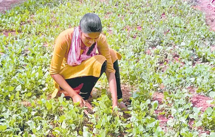 ఫీజు చెల్లించలేక కూలి పనికి..