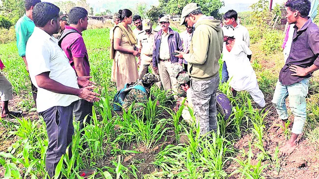 పులి సంచారం.. భయం భయం