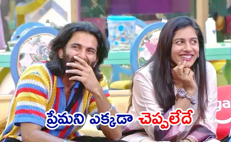 Bigg Boss 8 Telugu Day 86 Episode Highlights