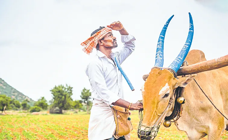 ‘యాసంగి’ పెట్టుబడి ఎట్లా?