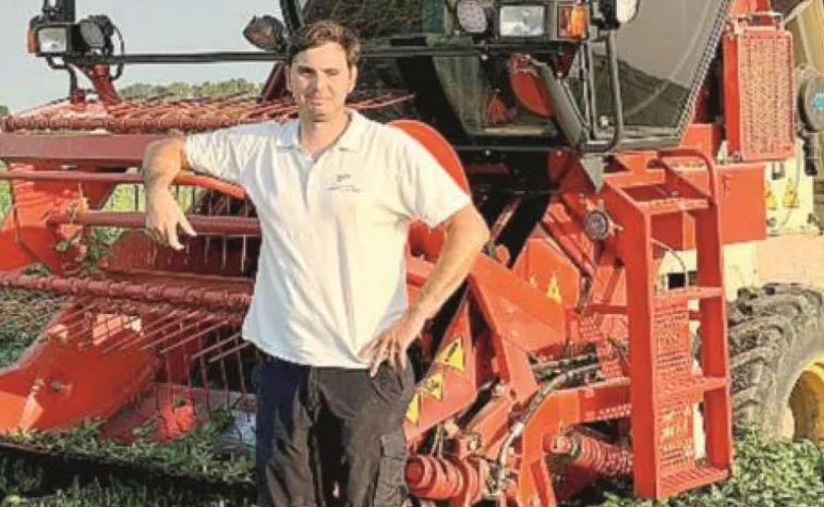 Filippo Carrara, 'The king of basil': 28 years old and 50 hectares