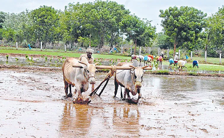 talakola rahul reddy write on is of doing farming