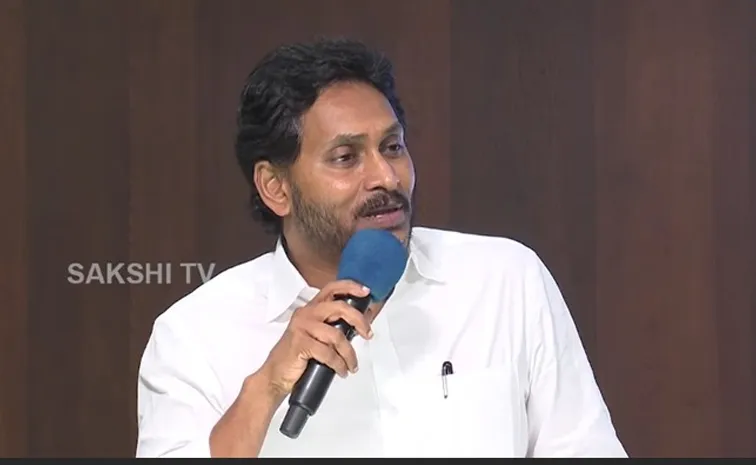 YS Jagan Interesting Comments On 2029 Election