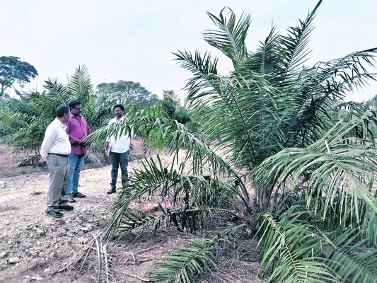 సమగ్ర