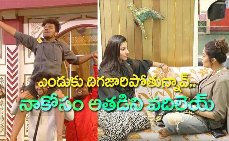 Bigg Boss Telugu 8, Nov 29th Full Episode Review: Sreemukhi Golden Suggestion to Vishnupriya