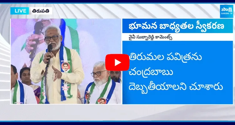 YV Subba Reddy Fires On Chandrababu Over Tirupati Laddu Issue