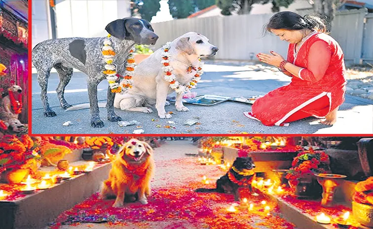 Kukur Tihar: Nepal honours their dogs as part of Hindu festival celebrations