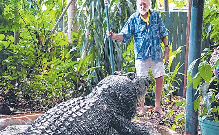 World largest captive crocodile Cassius dies in Australia