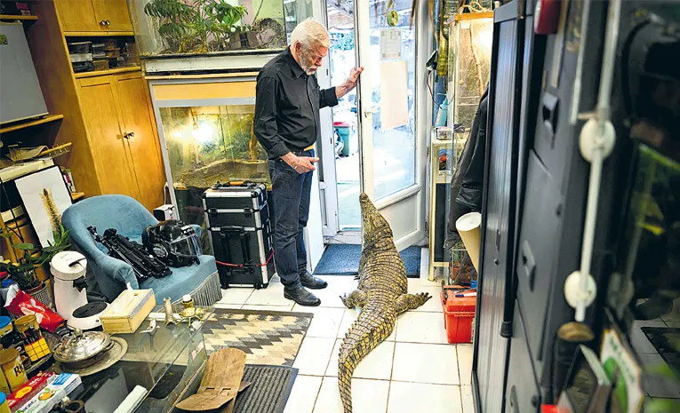 Frenchman Sleeps With Alligator In His Bed