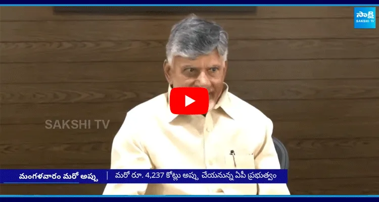 Chandrababu Government Debts In AP