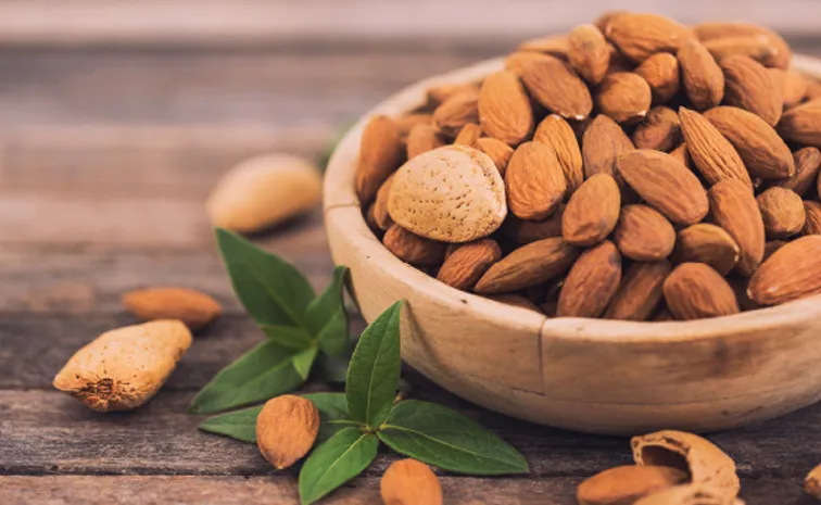 Do You know about mamra almonds here is details