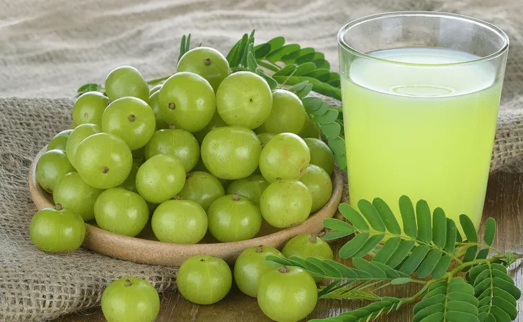 amazing benefits of amla boosts immunity and energy