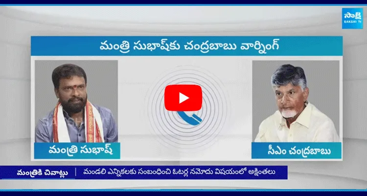 Chandrababu Warning To Minister Vasamsetti Subhash