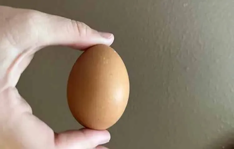 Man dies egg stuck in throat