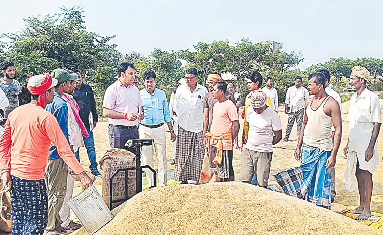 Rice millers disinterest in new grain collection system