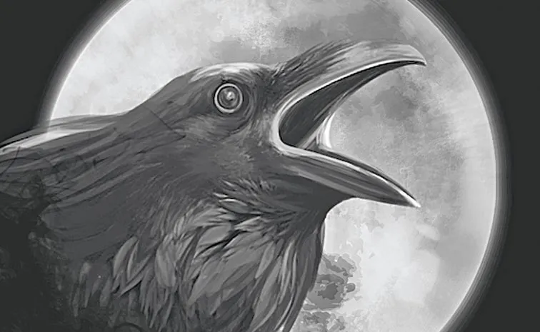 Crows can take revenge remember humans for 17 years