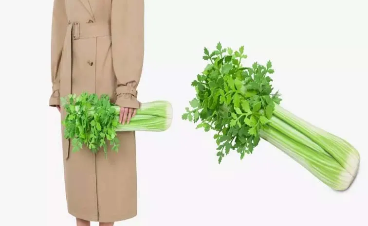 Moschinos Launches New Sedano Bag That Looks Like Celery Shaped