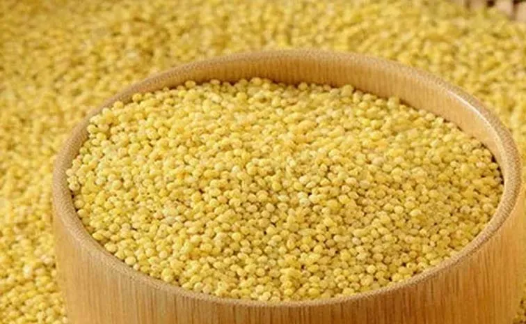 How Much Protein Is In Korralu Or Foxtail Millets