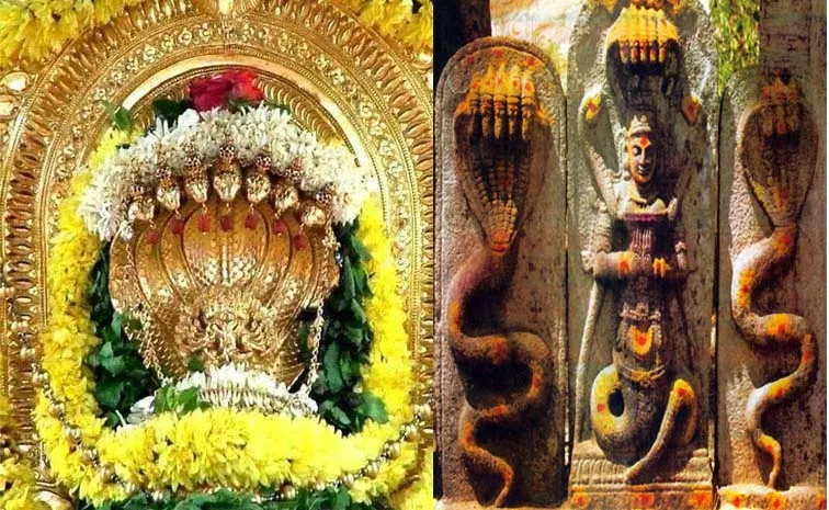 Nagula Chavithi 2024: This Festival Dedicated To Worship Snake Gods