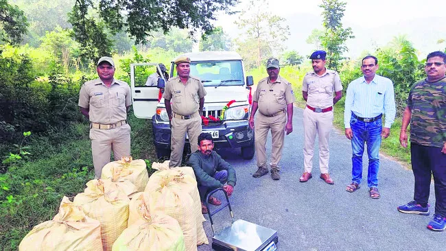 భారీగా గంజాయి సీజ్‌