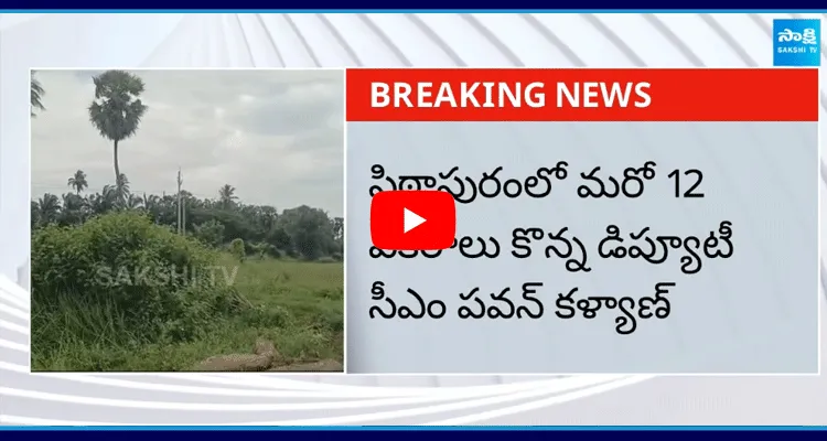 Pawan Kalyan Purchases Another 12 Acres In Pithapuram