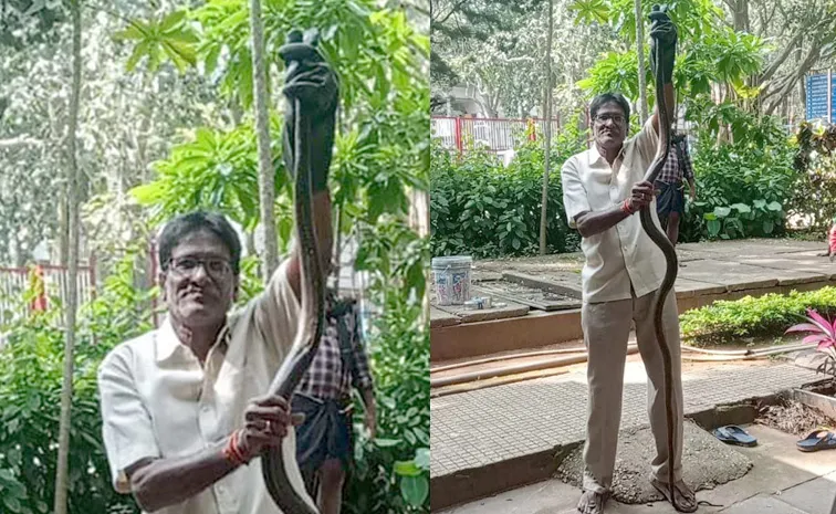 7 feet big snake caught at Tirumala