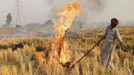 Centre  Doubles Fines On Stubble Burning Amid Delhi Air Quality Crisis