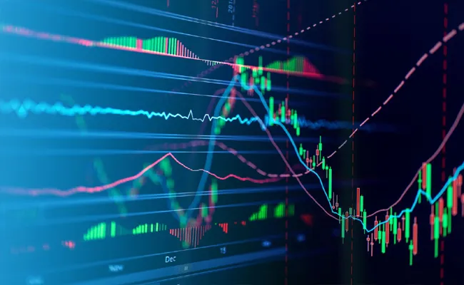 Stock Market opening Rally on us election results effect 2024