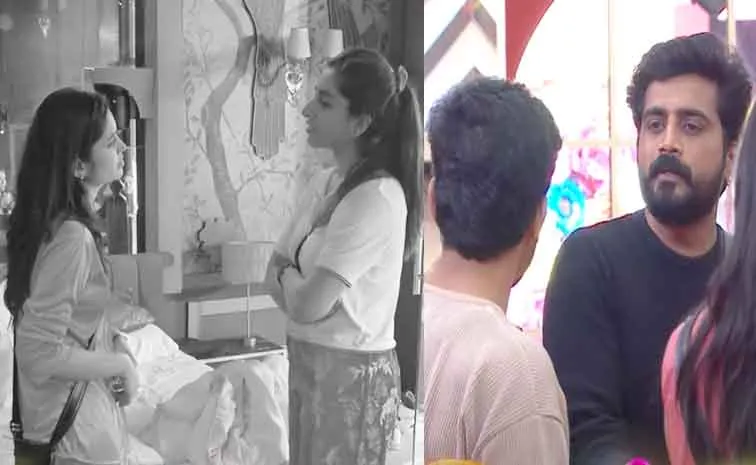 Bigg Boss 8 Telugu: Vishnu Priya Bhimeneni Hurt Over Prithviraj Shetty Rude Behaviour