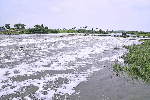 పునరుజీ్జవంతోనే మనుగడ