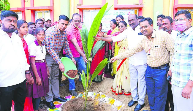 నాటిన మొక్కలను కాపాడాలి 