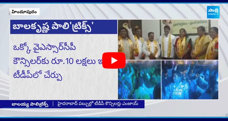 TDP MLA Balakrishna Camp Politics