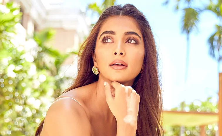 Pooja Hegde Again Will Get Movie Chances In Telugu And Tamil