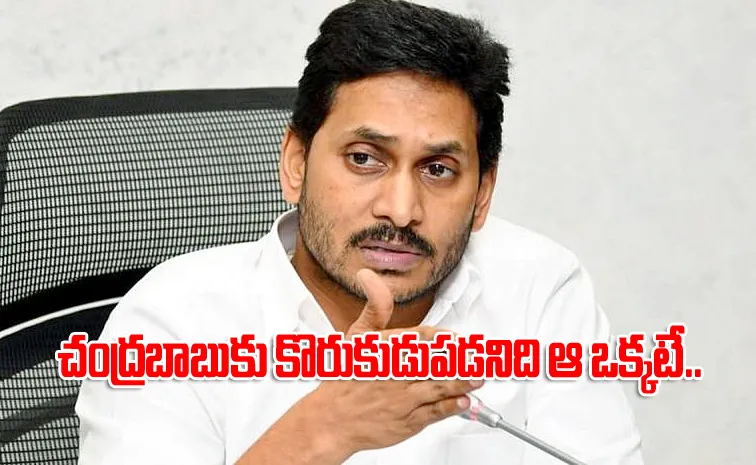 YS Jagan Fire On CM Chandrababu Govt For Planned Arrests