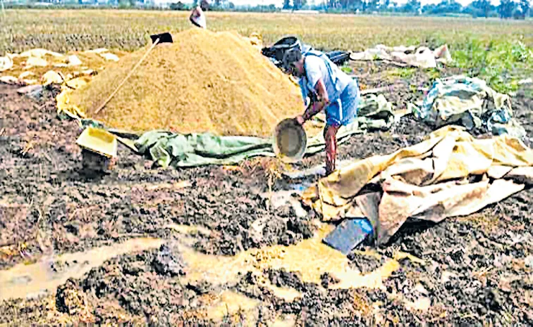 Cyclone Storm Fengal Effect to Farmers cheated by coalition govt