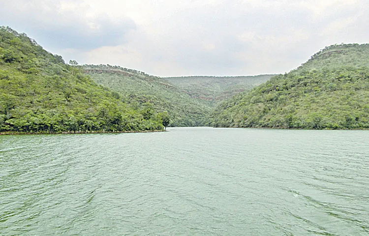 CM Revanth Reddy in review of irrigation department