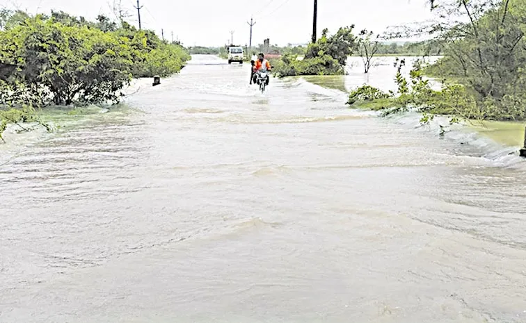 imd issues Red Alert for Tirupati and Nellore Districts: Andhra prdesh