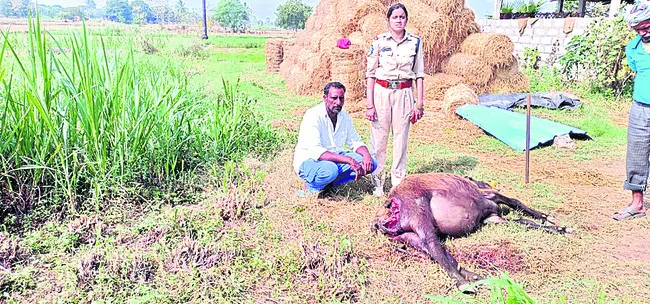 గుండె