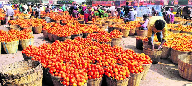 ధర ఢమాల్‌ 