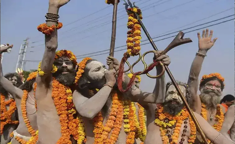 Mahakumbh 2025 Date Where Naga Sadhu Disappear After Kumbh