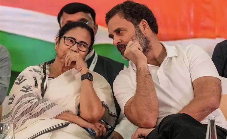 Mamata Banerjee or Rahul Gandhi who has Better Biodata to Lead India Alliance