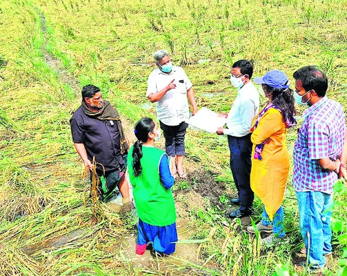 ఉచిత పంటల బీమా 
